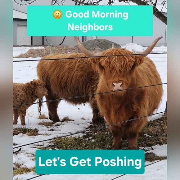 NWT CUTE Strawberry Ice Cream Pint Crossbody~ MYSTERY BUNDLE Filled w/Surprises - Picture 8 of 8